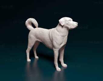 Kangal Turco Etsy