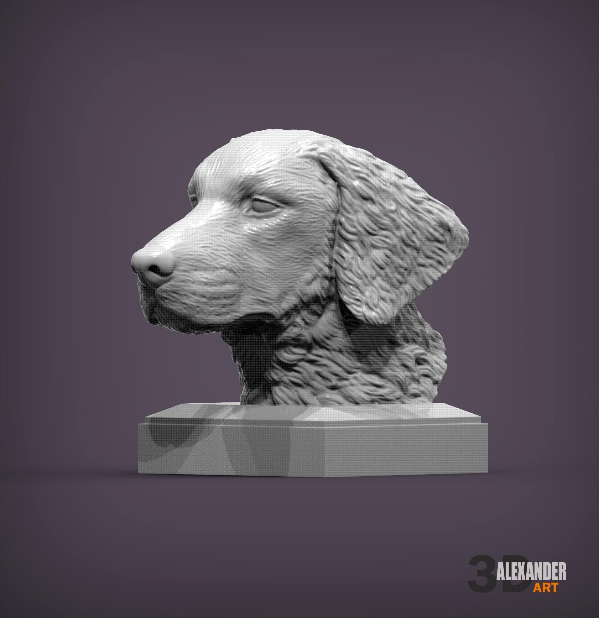 3D Printed Curly-Coated Retriever Bust – Dog Head Sculpture, Home Decor, Pet Memorial Gift, Hunting Breed Display
