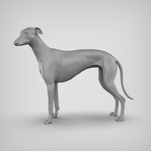 3D Printed Greyhound Memorial Figurine - Custom Pet Keepsake - Cake Topper & Miniature Decor - Thoughtful Gift for Dog Lovers
