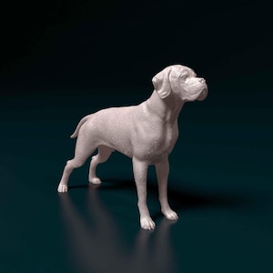 May include: A white Boxer dog figurine standing on a dark blue surface. The figurine is detailed with realistic fur and features.