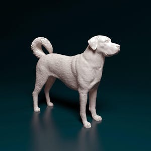 Kangal-hondensculptuur 3D-geprint beeldje van de bewaker van dieren voor gedenkteken of display