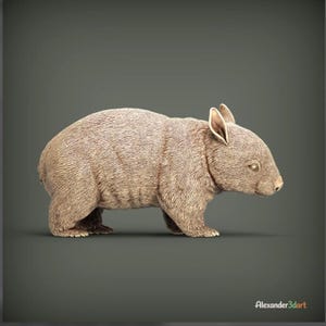 May include: A three-dimensional digital rendering of a wombat shown in profile. The creature has dense, light brown fur, small rounded ears, and a stout, muscular body. The text Alexander3dart is visible in the bottom right corner of the image.