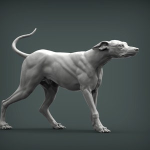 3D Printed Greyhound Statue – Sleek Dog Figurine, Racing Breed Sculpture, Pet Memorial Decor