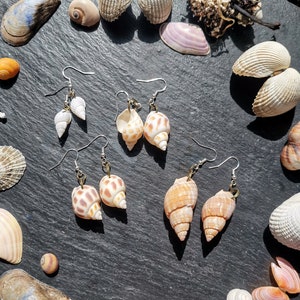 Real shell earrings, seaside jewellery, shell earrings,