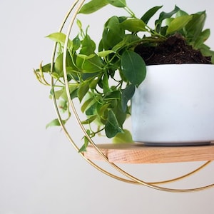 Plant Hanger Wooden - White Oak - Hanging Wood Planter