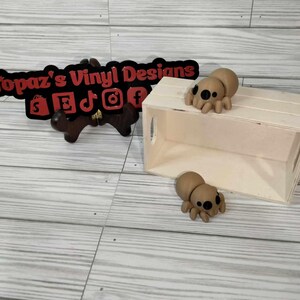 3D Prints/ Flexi Toys/ Animals/ Mini Flexi Animal Fidget/ Articulated Fidget Toy/ Sensory Toy/ 3D Printed Flexi | Desk Toy/ Spide