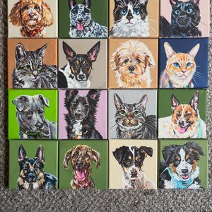 6x6 Inch Acrylic Animal Portraits - Etsy UK