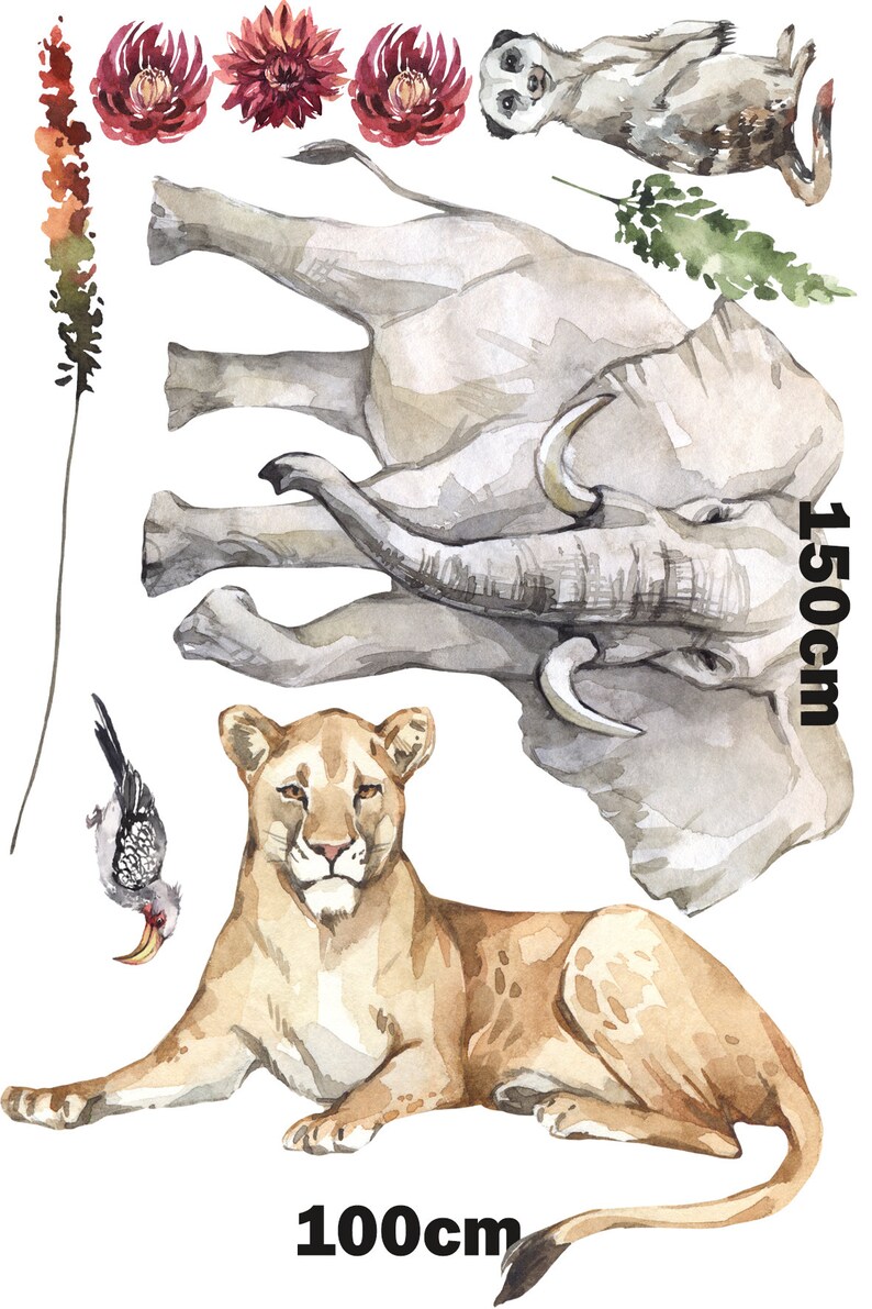 Safari Wall Stickers Nursery Wall Stickers Nursery Savanna Etsy