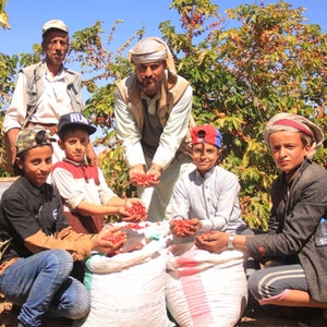 May include: A group of people, including children, are harvesting red coffee beans in a field. They are holding sacks of coffee beans and smiling.