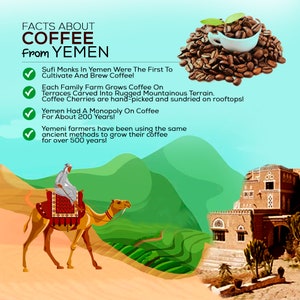 May include: An illustration of a camel carrying a person through a mountainous landscape with terraced coffee farms. The text reads "Facts About Coffee From Yemen" and lists facts about Yemeni coffee, including that Sufi monks were the first to cultivate and brew coffee, each family farm grows coffee on terraces carved into rugged mountainous terrain, coffee cherries are hand-picked and sun-dried on rooftops, Yemen had a monopoly on coffee for about 200 years, and Yemeni farmers have been using the same ancient methods to grow their coffee for over 500 years.