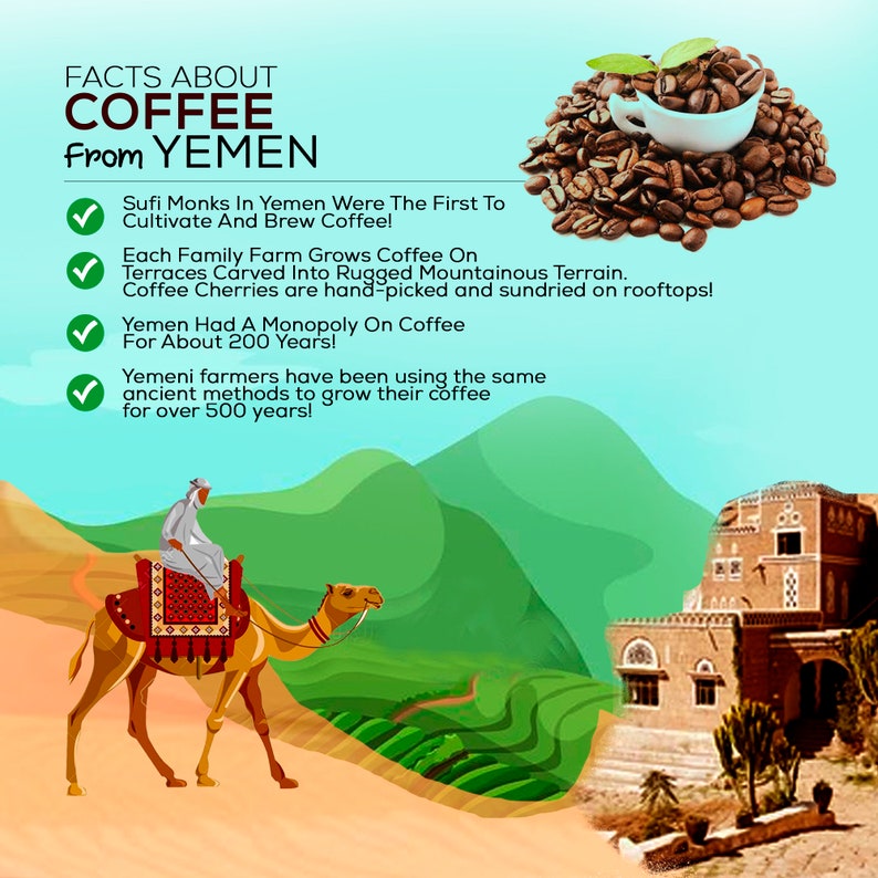 May include: An illustration of a camel carrying a person through a mountainous landscape with terraced coffee farms. The text reads "Facts About Coffee From Yemen" and lists facts about Yemeni coffee, including that Sufi monks were the first to cultivate and brew coffee, each family farm grows coffee on terraces carved into rugged mountainous terrain, coffee cherries are hand-picked and sun-dried on rooftops, Yemen had a monopoly on coffee for about 200 years, and Yemeni farmers have been using the same ancient methods to grow their coffee for over 500 years.