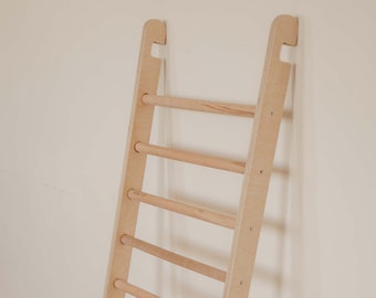 Climbing ladder
