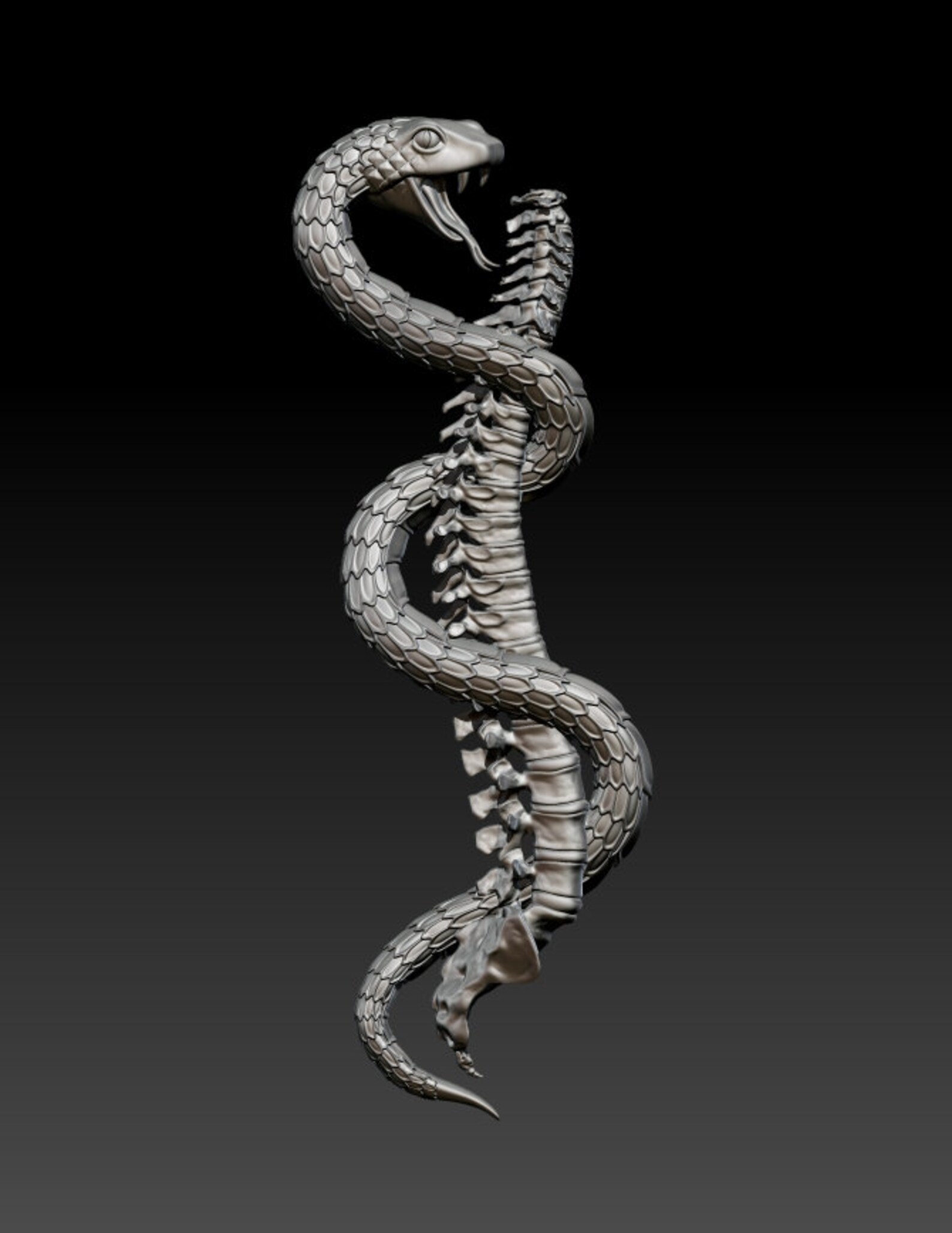 3d model of snake rhino free download 3d model of snake rhino free download
