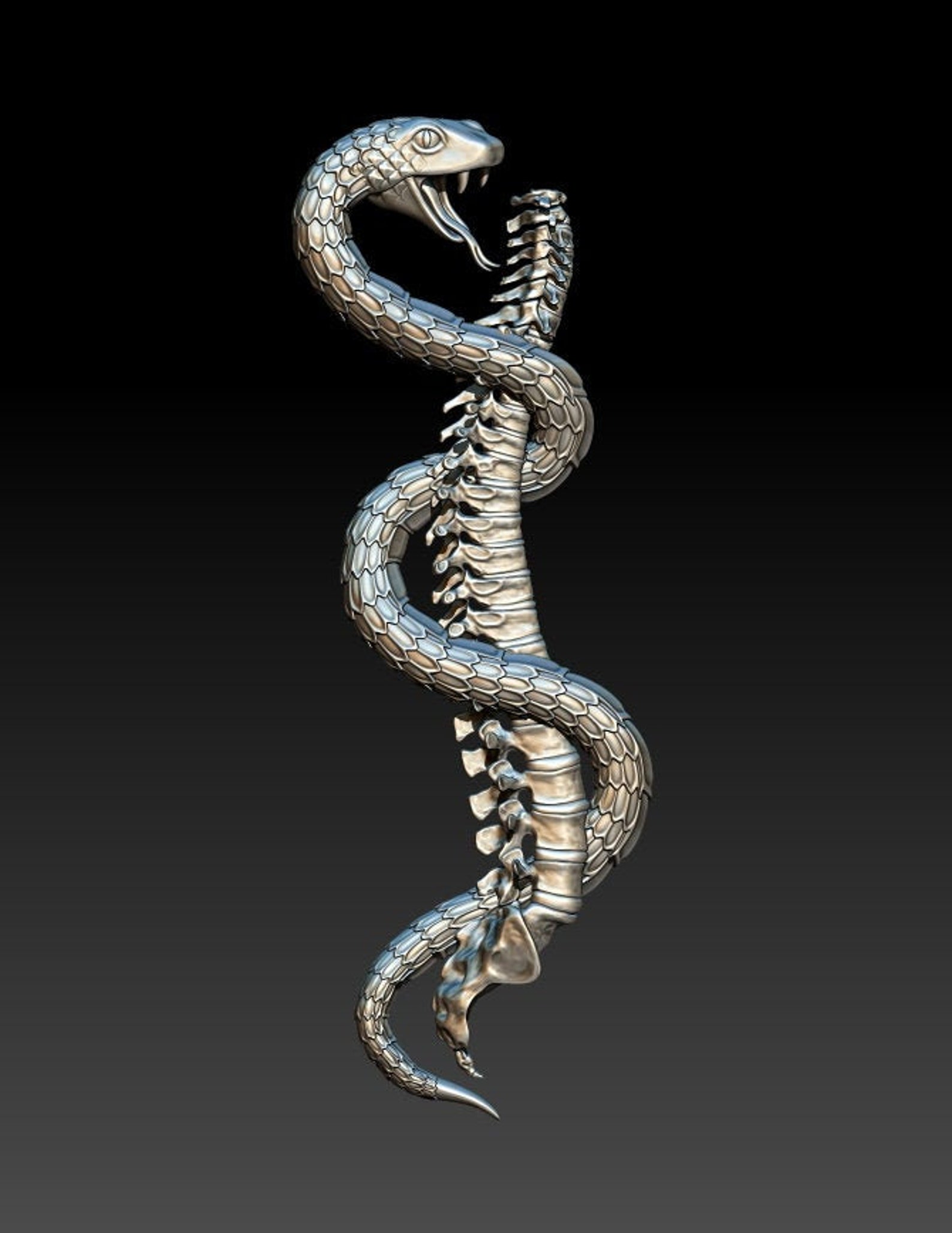 3d model of snake rhino free download 3d model of snake rhino free download