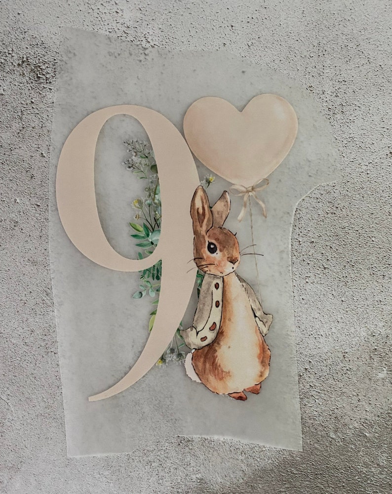 CUSTOM DTF Neutral Bunnies Numbers 1 9 Make Your Own Clothing Iron on