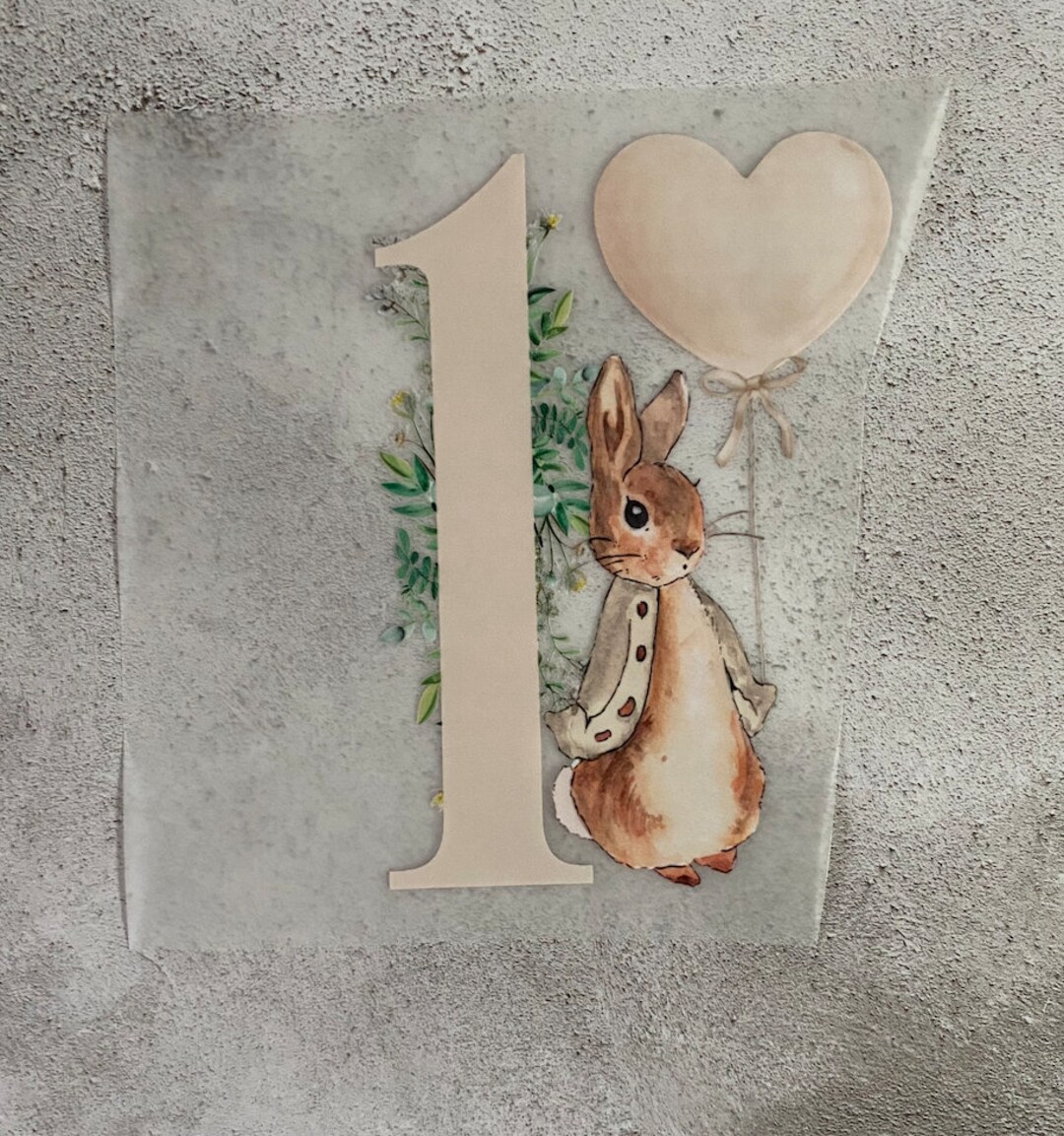 CUSTOM DTF Neutral Bunnies Numbers 1 9 Make Your Own Clothing Iron on