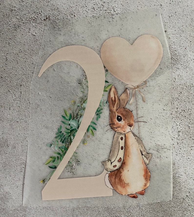 CUSTOM DTF Neutral Bunnies Numbers 1 9 Make Your Own Clothing Iron on