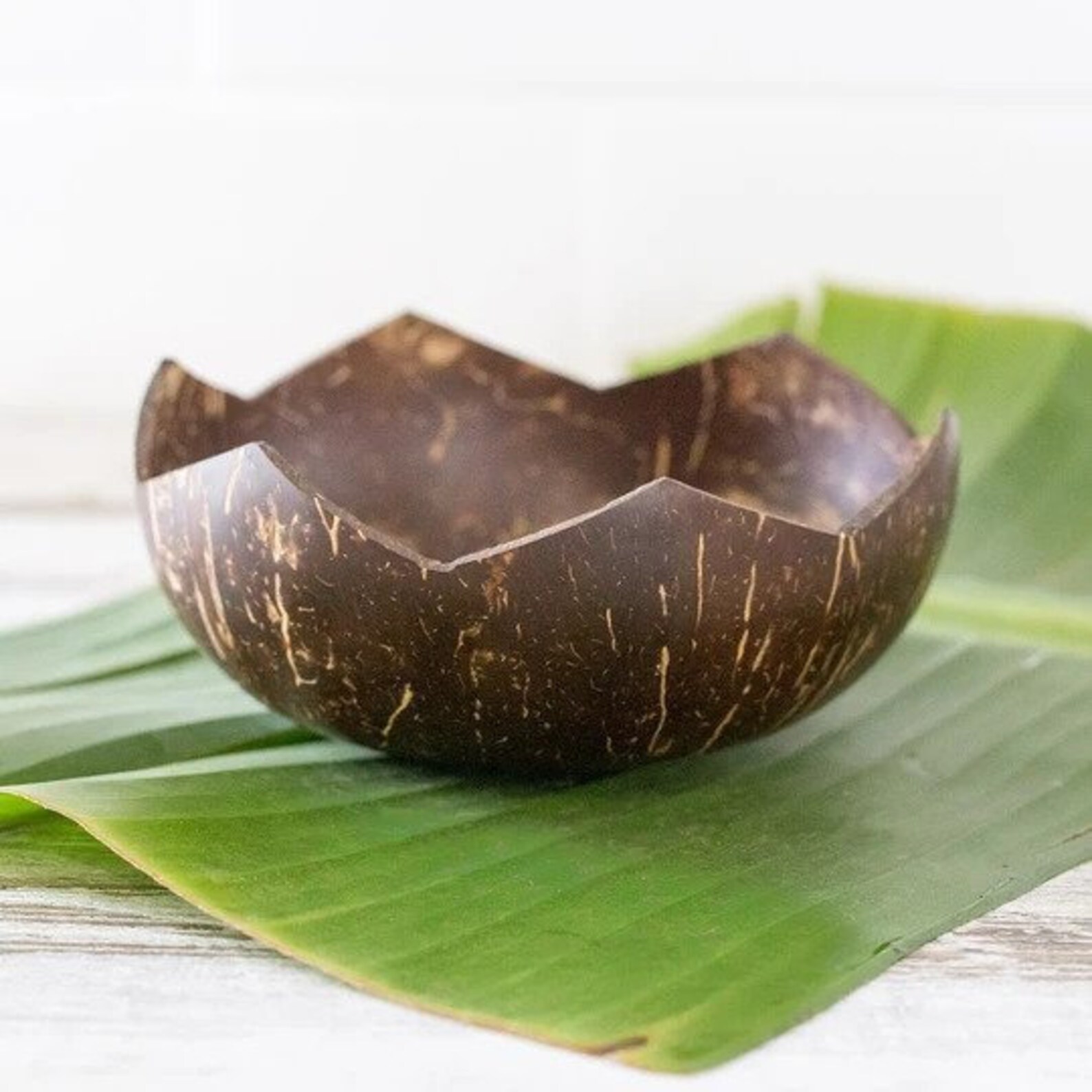 Cut Coconut Bowls Natural Coconut bowls and Spoons Etsy