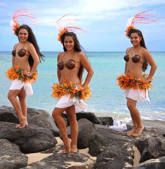 Tahitian Coconut Bra Costume (Medium / B Cup)