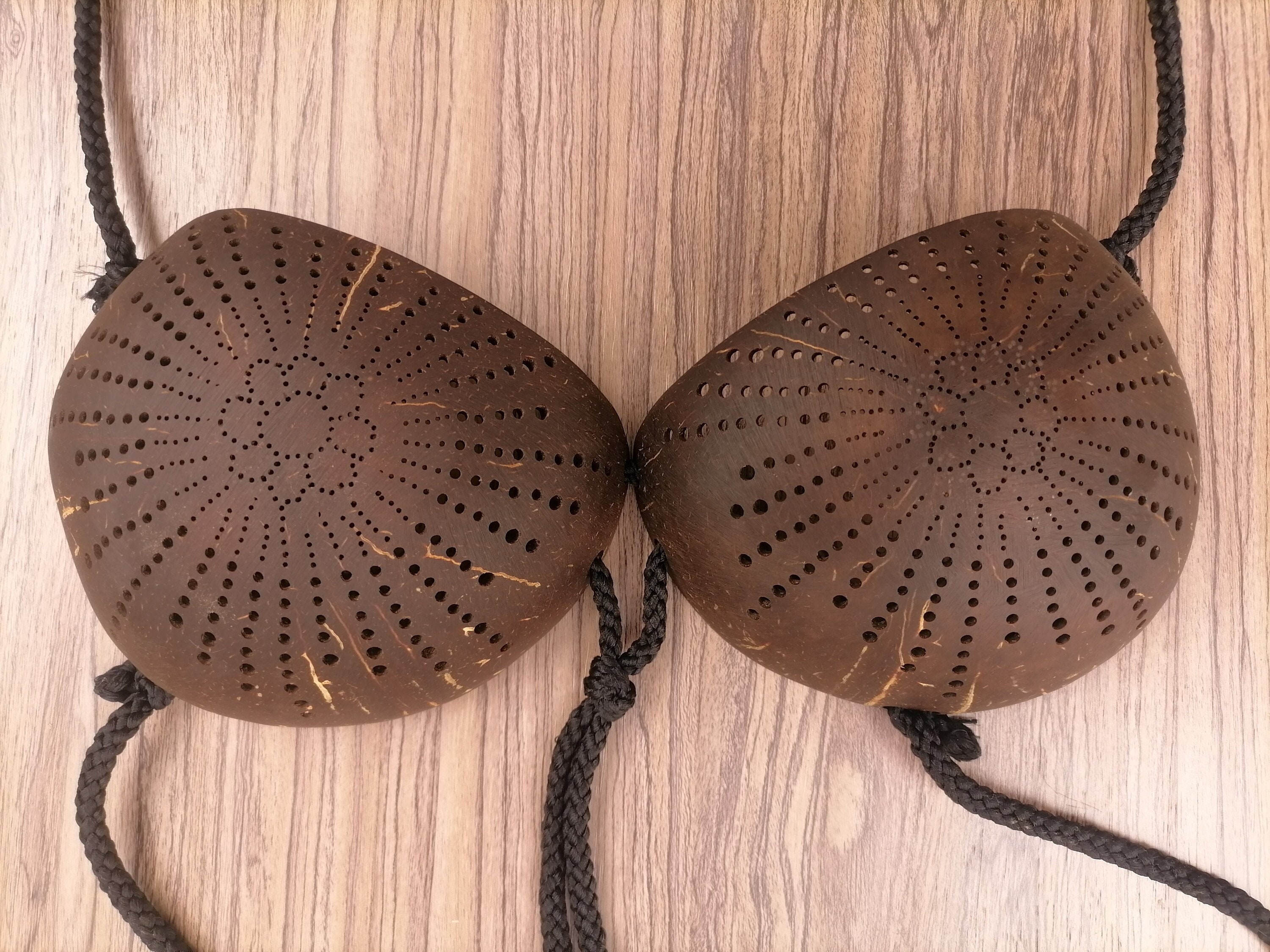 Teen & Adult Coconut Bra Brassiere for Tahitian and Cook Islands Hula  Dancers 100% Pure Coconut Shell Bra Brassiere Coconut Shape Wear -   Canada