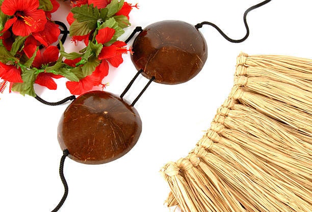 Teen & Adult Coconut Bra Brassiere for Tahitian and Cook Islands Hula  Dancers 100% Pure Coconut Shell Bra Brassiere Coconut Shape Wear -   Finland