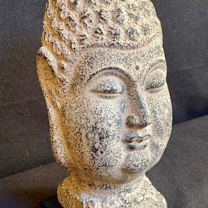 Tranquil Serene Buddha Head