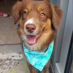 Dog Bandana Double Sided! 2 in 1
