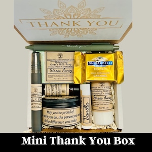 Employee Appreciation Gift Box for Staff, Thank You Team Gift, Corporate Self Care Package, Office Gifts, Mini Gift Set, Christmas Gift