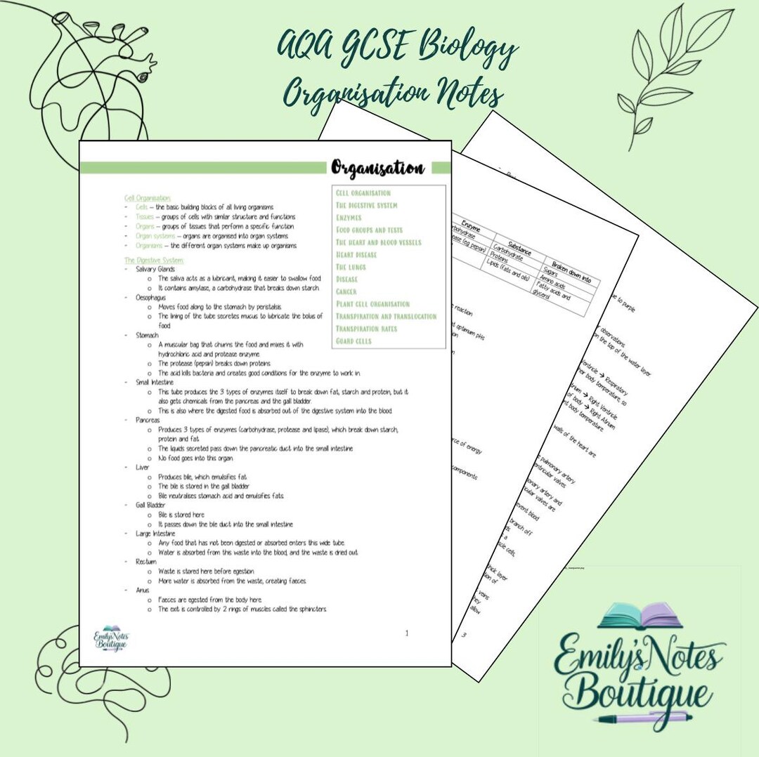 AQA GCSE Biology Revision Notes Topic 2 (organisation) - Etsy Australia