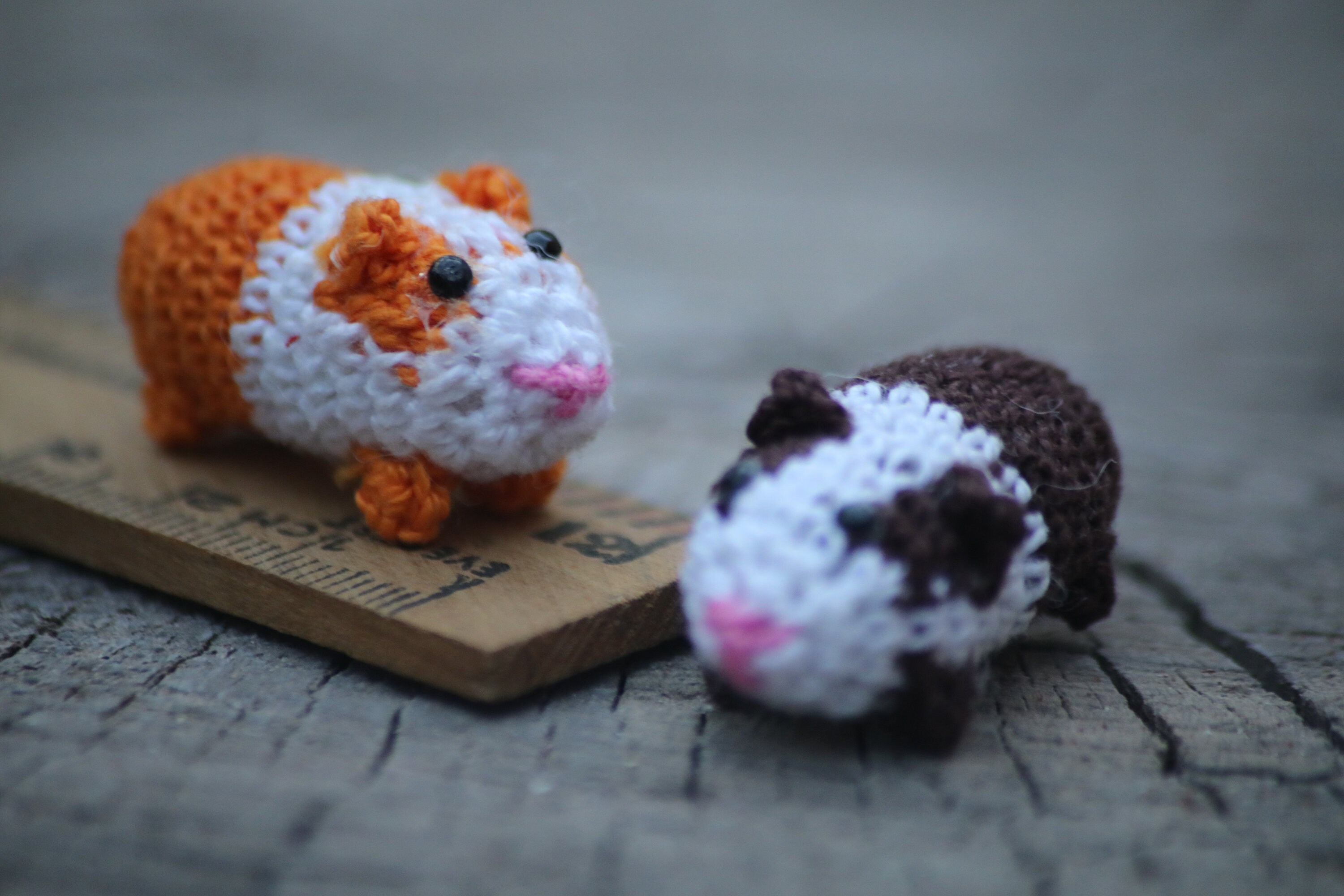 Miniature Guinea pig crochet pattern Digital download Pdf Etsy