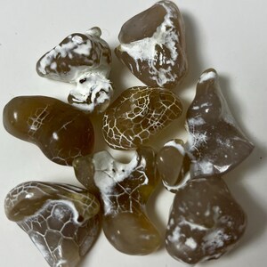 May include: A selection of polished agate stones in brown and white hues. The stones display distinctive patterns, including webbed and marbled designs. The shapes are diverse, ranging from smooth and rounded to more irregular forms. These stones are ideal for collectors.