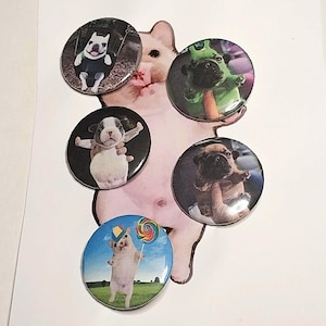 pibble dog Pins pinback buttons bag backpack accessory puppy meme geeble alien Barkley swing dog stop fighting lollipop propeller hat cute