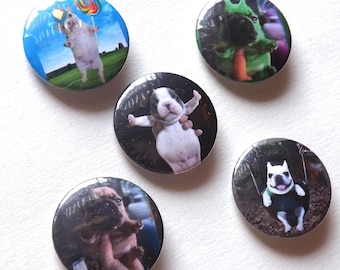 Pibble Dog Pinback Buttons - Puppy Meme Pins, Set of 5