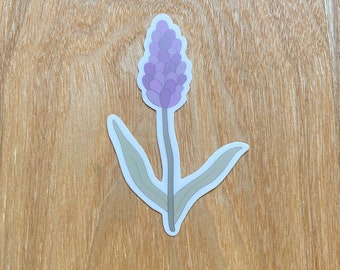 Lavender Sticker | Purple Flower | Durable Vinyl | Die-Cut Vinyl Sticker | Weatherproof Sticker | Laptop Sticker | Hydroflask Sticker