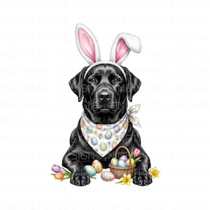 May include: A black Labrador wearing bunny ears and a bandana with Easter egg patterns. A basket of eggs, colourful eggs, and flowers are in front of the dog, creating an Easter theme.