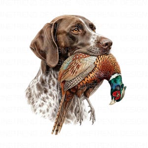 May include: A detailed illustration of a brown and white dog holding a pheasant in its mouth. The pheasant has colorful feathers in shades of brown, orange, green, and red. The dog's fur is detailed, and its eyes are focused.
