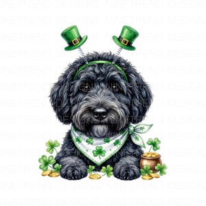 May include: A watercolor illustration of a black dog wearing a green headband with two miniature green top hats. The dog has a white bandana with green shamrocks and is surrounded by shamrocks and a pot of gold.