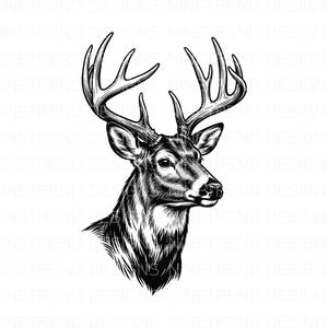 Puede incluir: Ilustración detallada en blanco y negro de la cabeza y cuernos de un ciervo. La obra de arte presenta sombreado y líneas intrincadas, mostrando el perfil del ciervo sobre un fondo blanco. La imagen destaca los majestuosos cuernos y rasgos faciales.