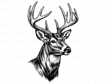 Vintage Whitetail Buck PNG, Deer Hunting Sublimation, Black and White Buck Head Clipart, Rustic Wildlife Engraving, Hunter Dad DTG Design