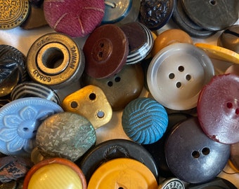 Plastic Shell Cup Etsy Singapore