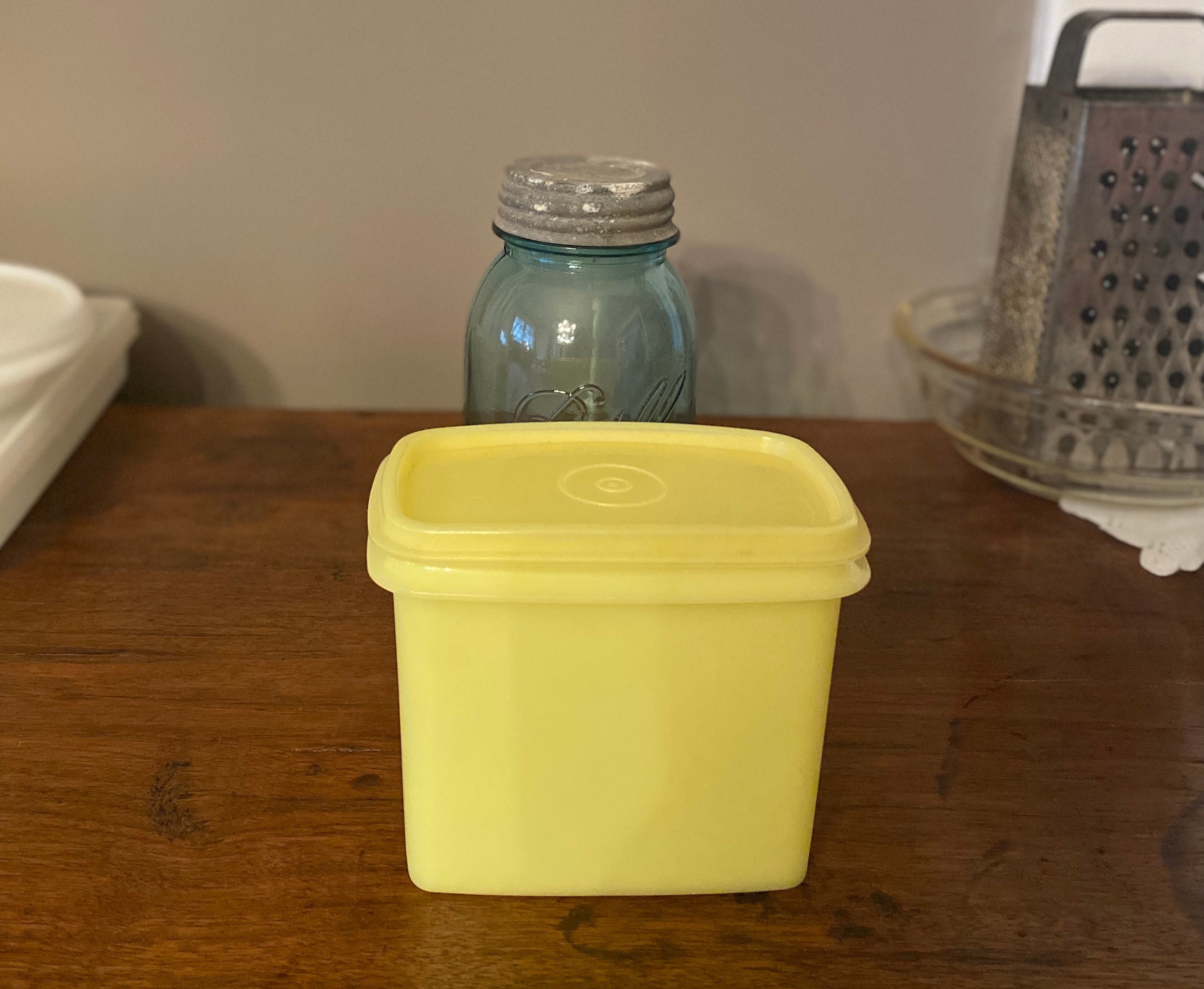 Vintage Tupperware Divided Container and Small Round Canister With Lids