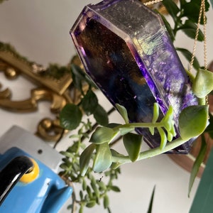 Puede incluir: Un macetero de resina en forma de ataúd de color morado y dorado que cuelga de una cadena dorada. El macetero está lleno de una planta suculenta.