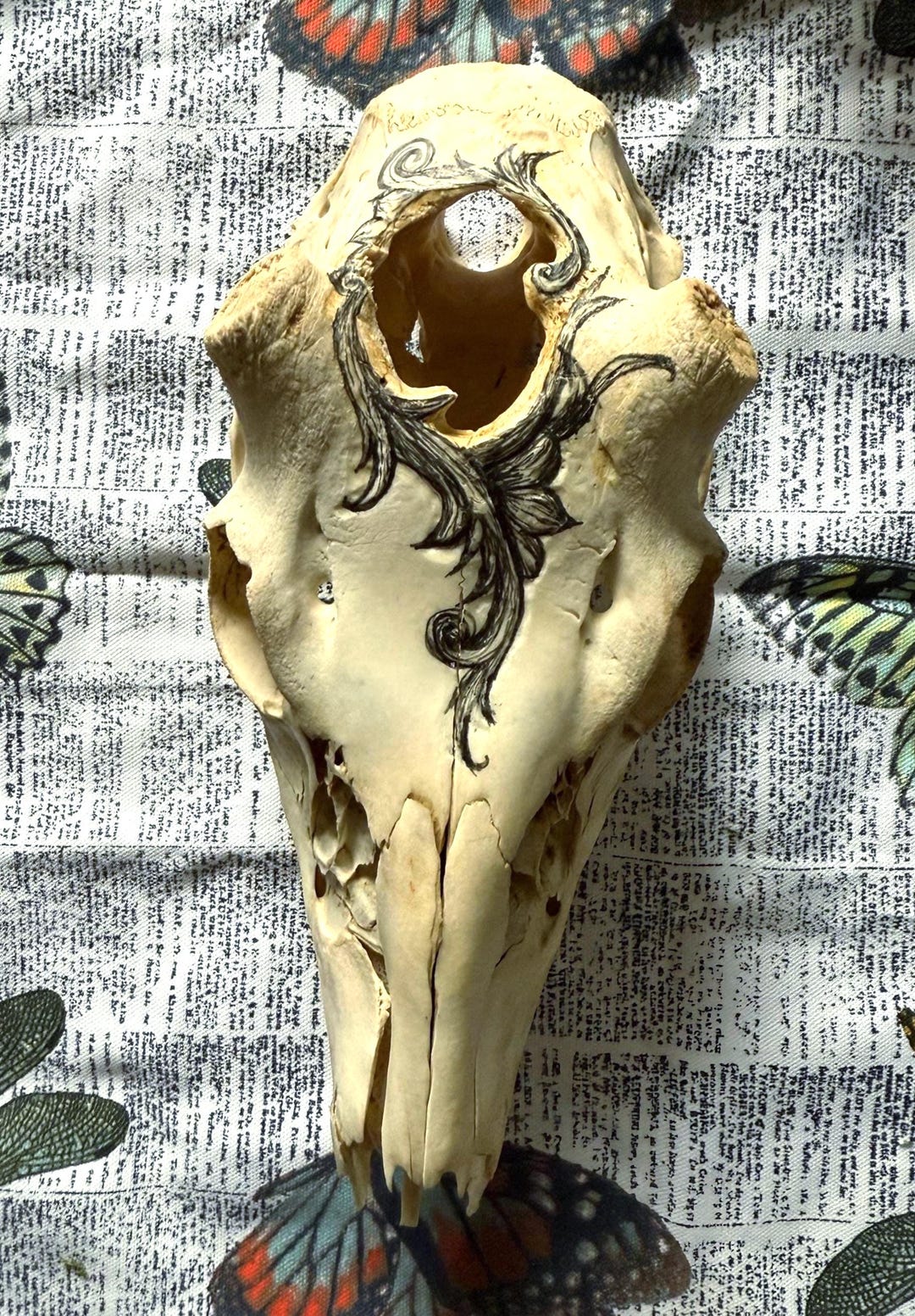 Deer Skull Art Etsy deer-skull-art-etsy