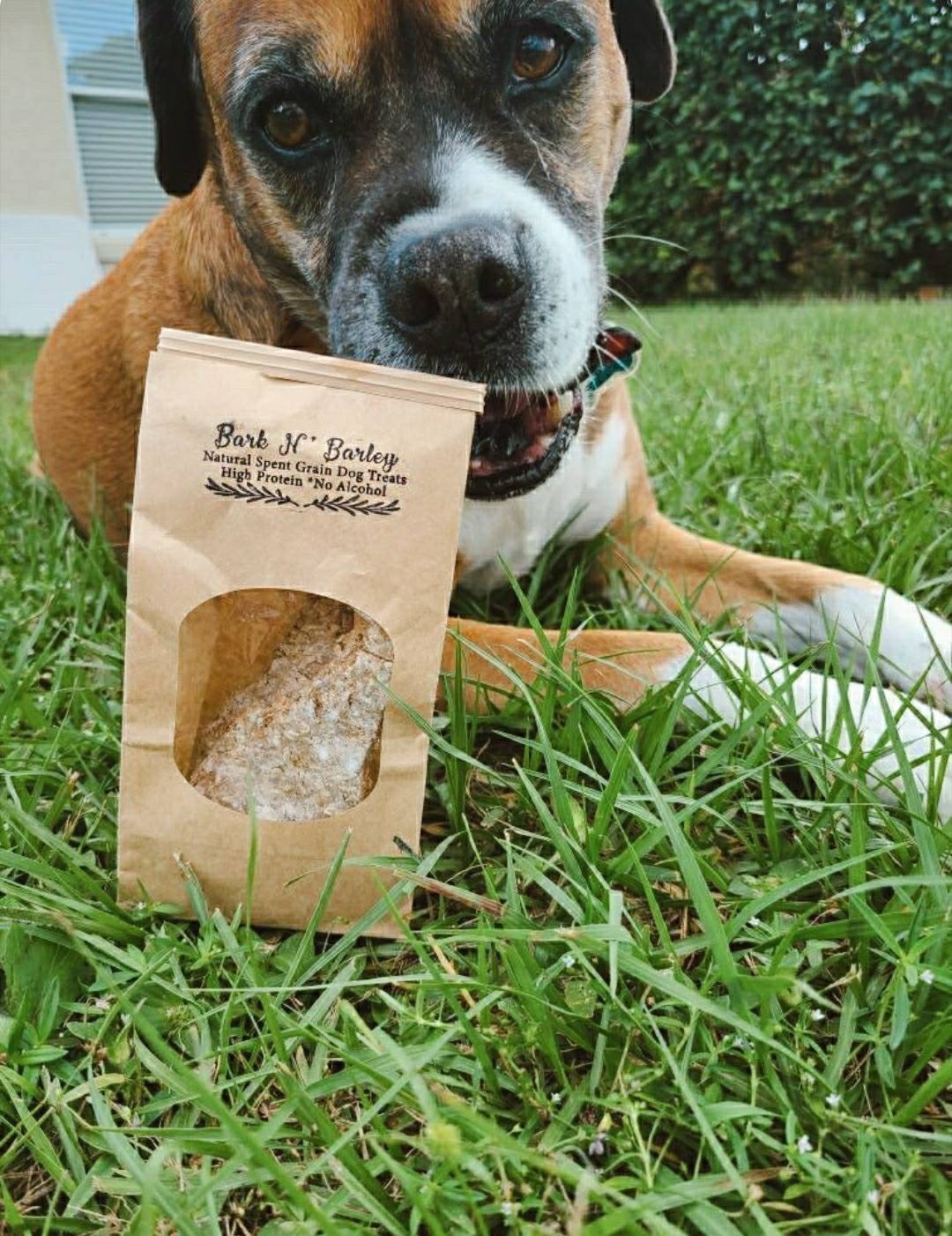 Natural Spent Grain Dog Treats Etsy