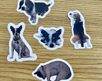 Custom pet stickers| Stickers for laptop| Stickers for water bottle| Cartoon stickers| Dog stickers| Gift for dog lover