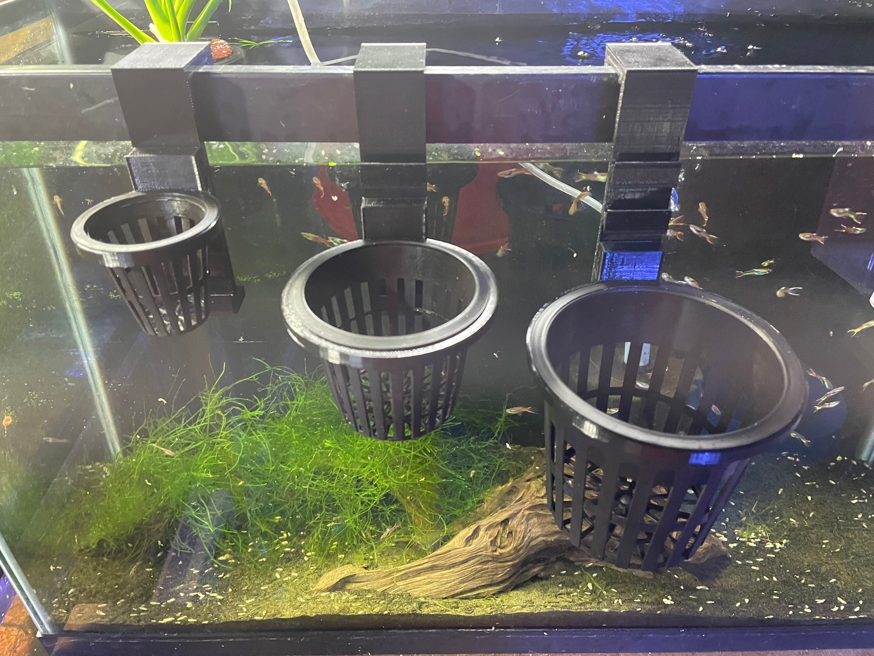 fish tank plant holders
