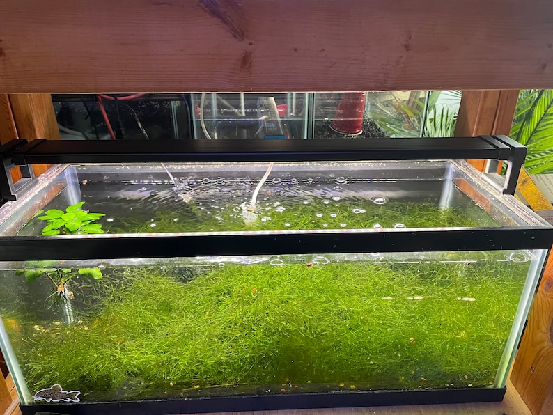 Aquarium Coop Light Risers 2 3 and 4 Etsy