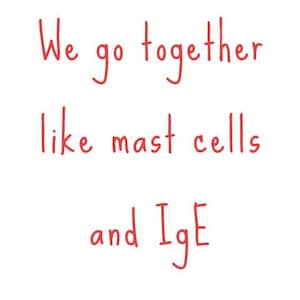 Printable Immunology note/card (Mast cells and IgE