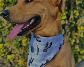 spurs dog collar