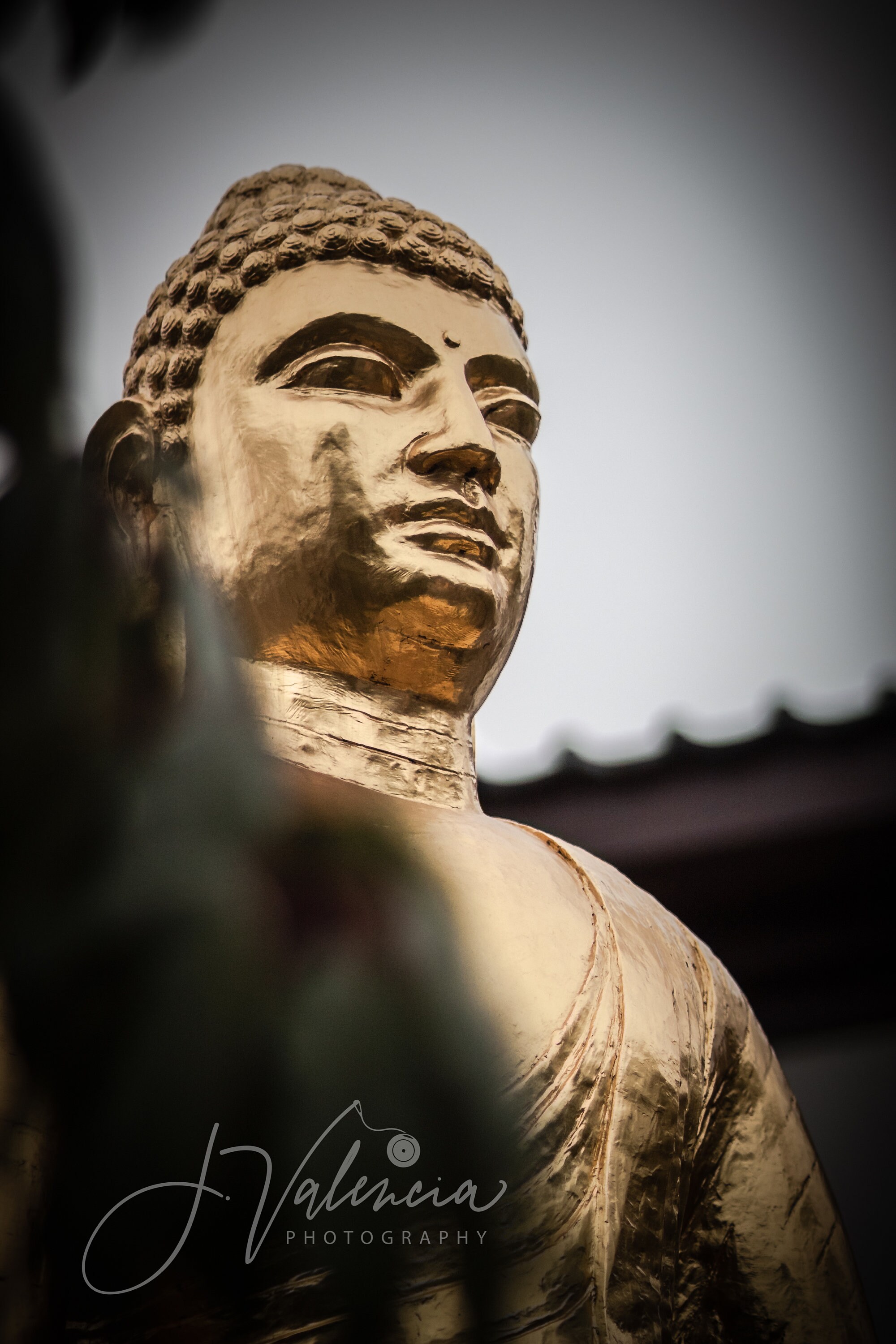 Gold Buddha Art Print Buddha Wall Decor Buddha Art Print Etsy